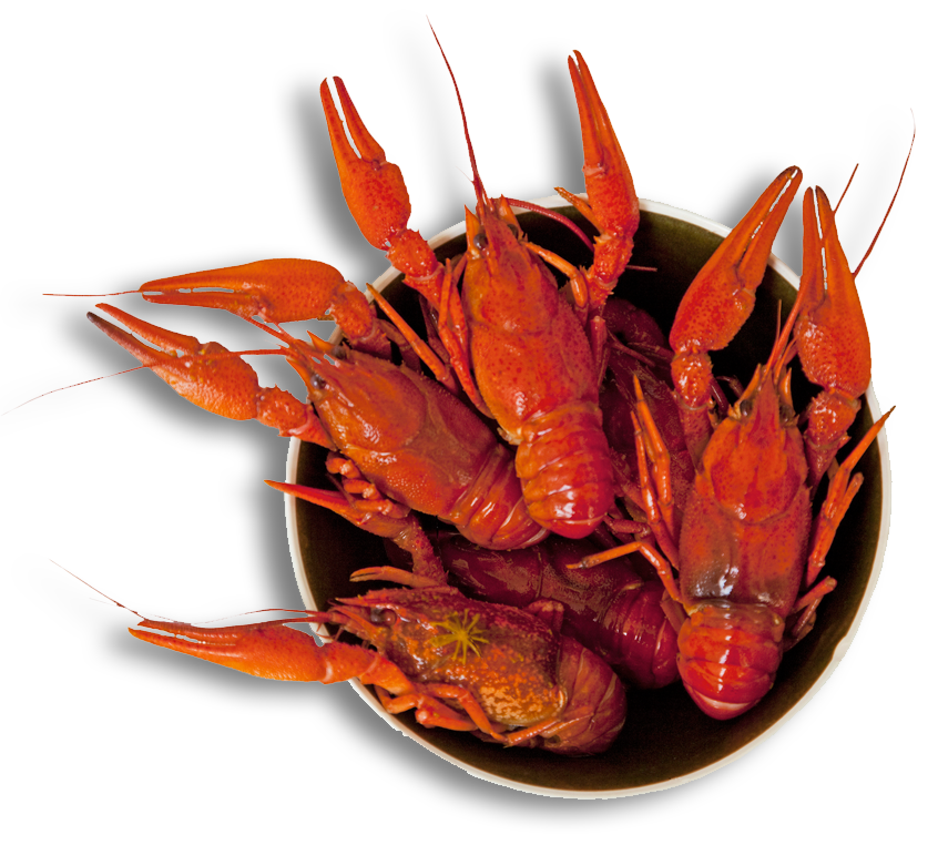 home-crawfish