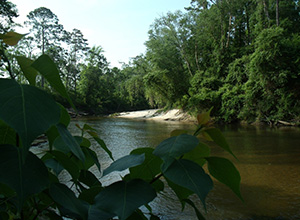 int-canoeing2